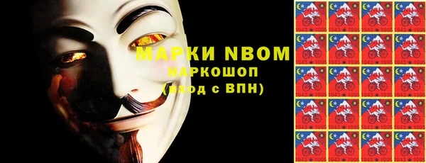 дмт Богданович