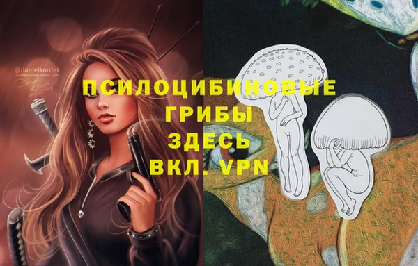хмурый Бородино