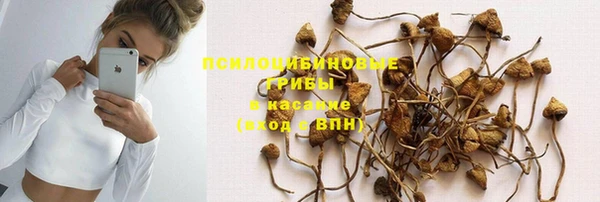 хмурый Бородино