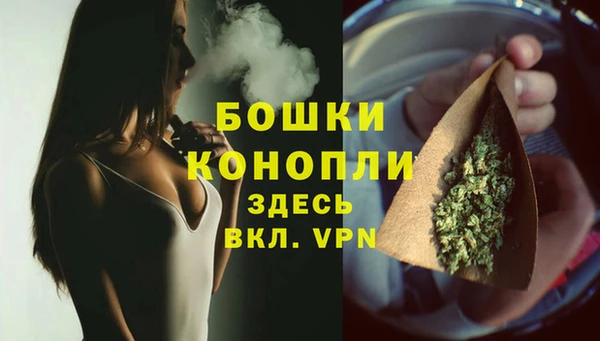 mix Богородицк