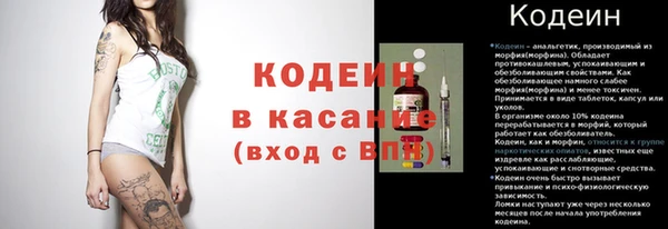 дмт Богданович