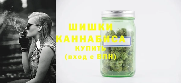 дмт Богданович