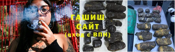дмт Богданович