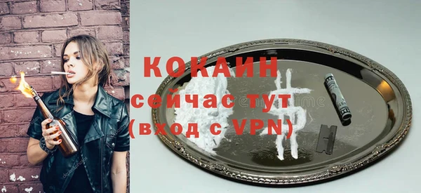 mix Богородицк