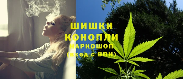 хмурый Бородино
