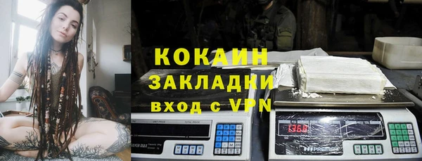 mix Богородицк