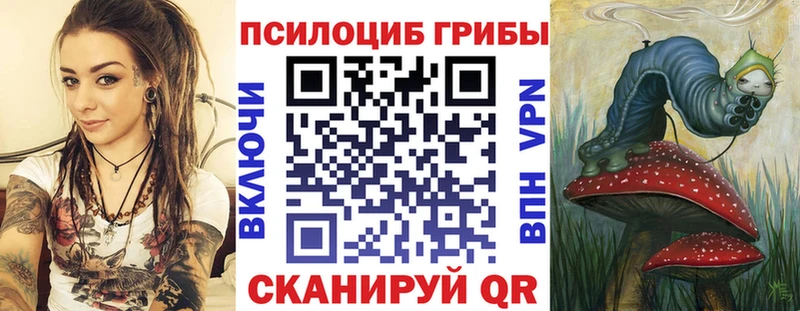 Псилоцибиновые грибы прущие грибы  что такое   blacksprut как зайти  Вяземский 